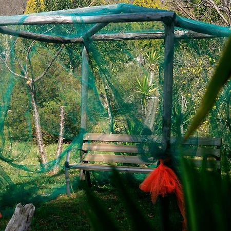 Agriturismo Parco Dai Nonni イスキテッラ エクステリア 写真