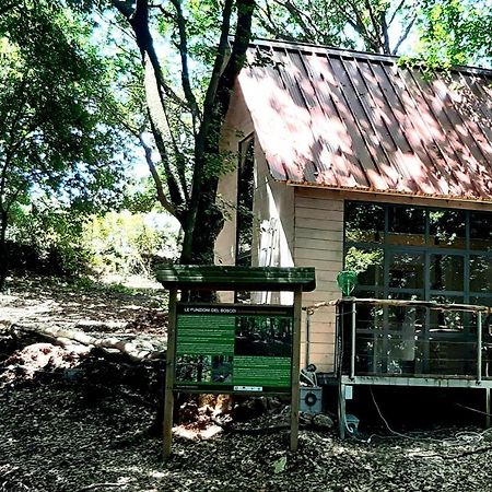 Agriturismo Parco Dai Nonni イスキテッラ エクステリア 写真
