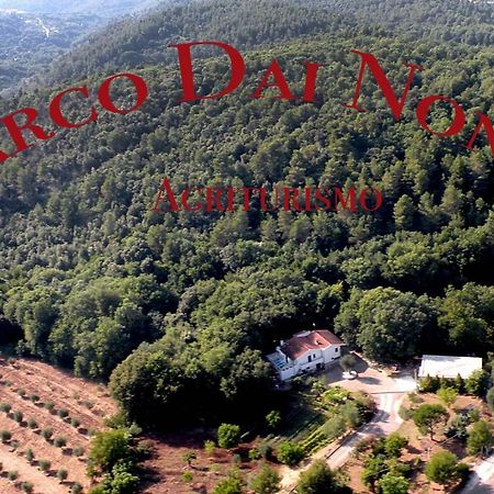 Agriturismo Parco Dai Nonni イスキテッラ エクステリア 写真