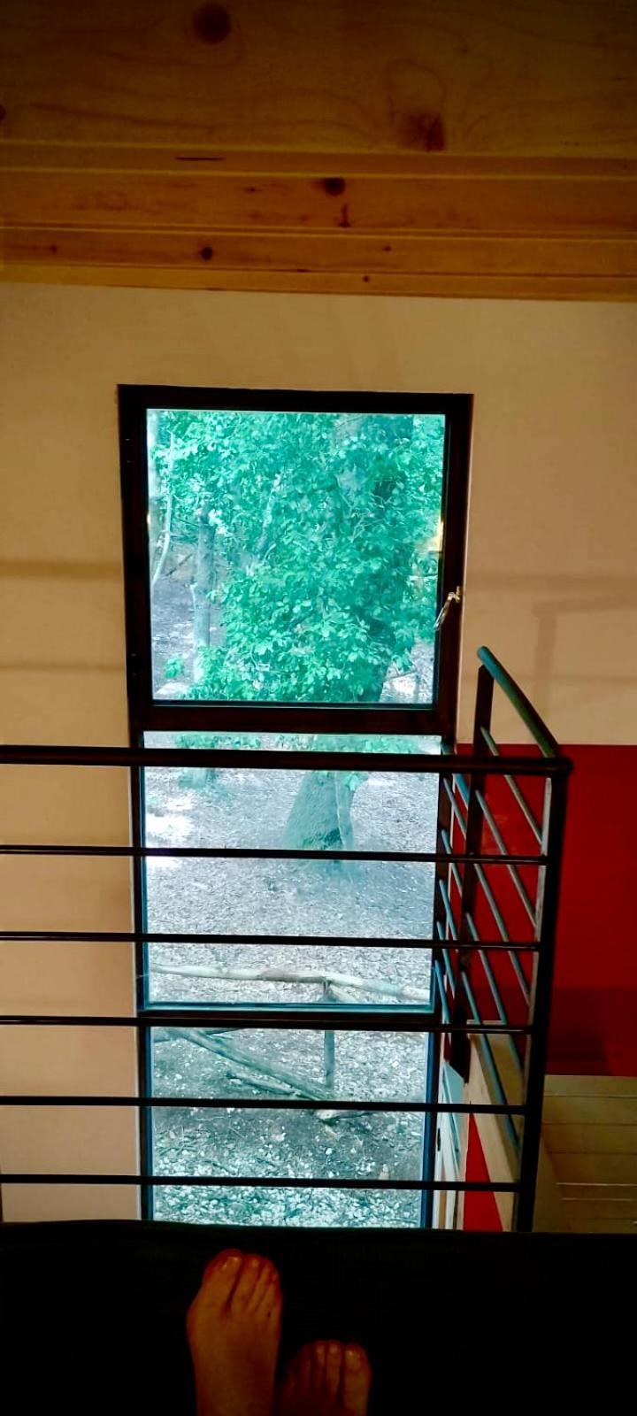 Agriturismo Parco Dai Nonni イスキテッラ エクステリア 写真