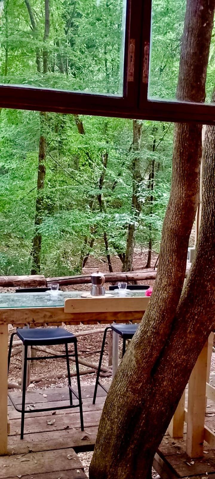 Agriturismo Parco Dai Nonni イスキテッラ エクステリア 写真